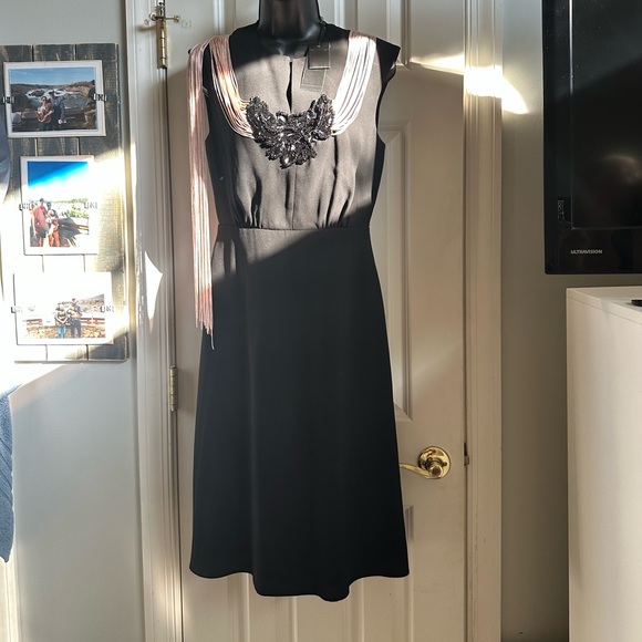 BCBG Rheya Fringe Appliqué Dress—unique size 4 - Picture 2 of 7